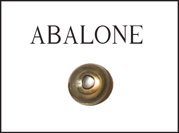 abalone-2-tab.jpg